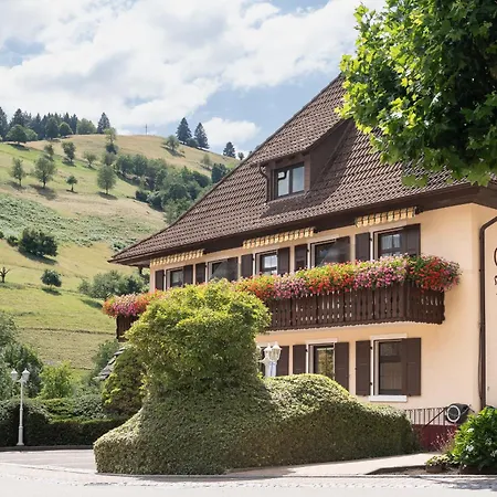 Gasthof Belchenblick-3